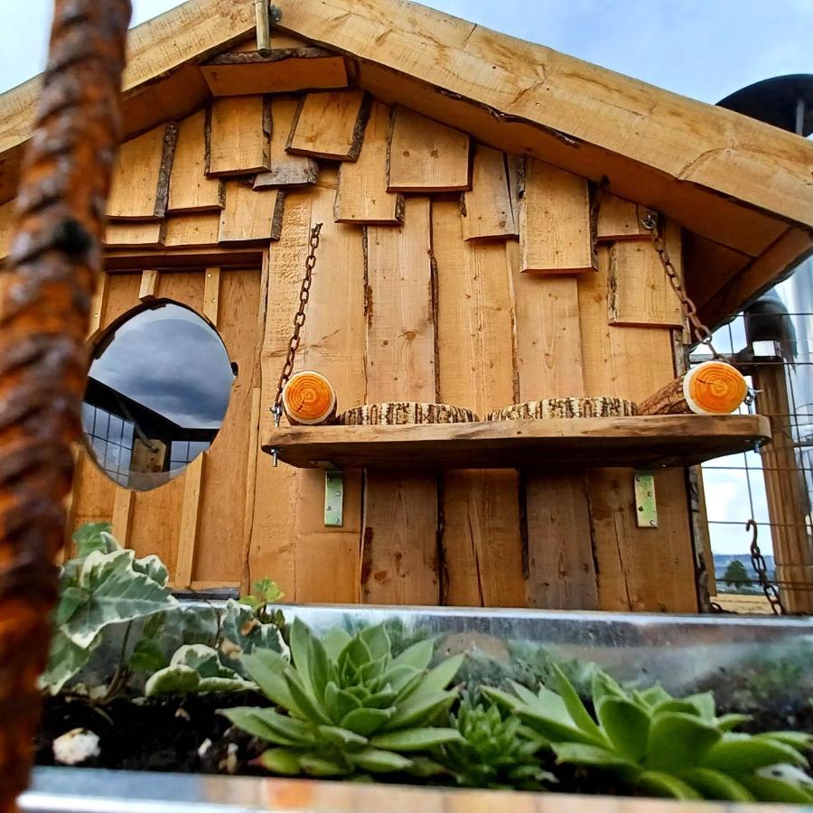 La Cabane Du Coing Visé Dış mekan fotoğraf